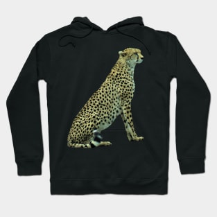 Cheetah on Safari in Kenya / Africa Hoodie